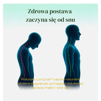 Poduszka Ortopedyczna na Ból Szyi i Pleców – LionCave™ Butterfly Comfort